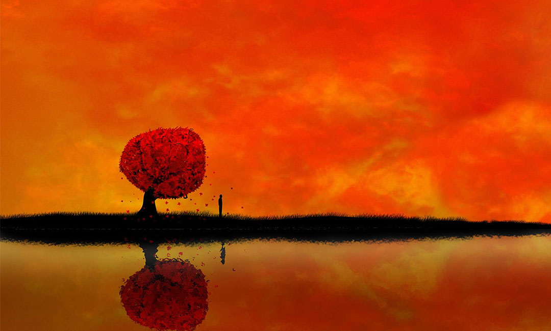 衡水笙影微信朋友圈转发案例