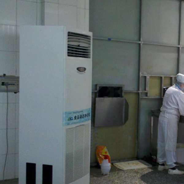 衡水食品正负离子空气杀菌器